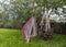 Old vintage chair with romantic picture frames and flowers on green grass