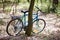 Old vintage city bicycle secured by a rope with forest tree