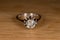 Old vintage diamond ring detail close up