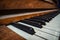 Old Vintage Dusty Piano Keys