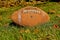 Old vintage football laying in the autumn leaves
