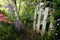 An old vintage gate in the garden