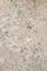 Old vintage grungy plaster painted wall texture background . Gray structural plaster