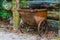 Old vintage miners cart, retro garden decorations, classical transport vehicles