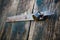 Old vintage padlock on wooden doors. Shallow focus - Rusty