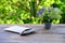 old vintage photographs, bouquet of wild flowers on table wooden table in garden, beautiful blurred natural background with green