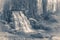 Old vintage photos. Park waterfall grass leaves copy space