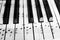 Old Vintage Piano Keys Ebony Ivory Black White