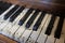 Old Vintage Piano Keys Ebony Ivory Black White