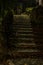 Old vintage retro staircase from paving stones with fallen leaves in an antique park on an autumn night