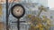 The old vintage round clock with black frame on the street in the autumn park