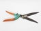 Old Vintage Rusty Used Gardening Scissor in White Isolated Background 01