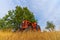 Old vintage tractor abandoned under the tree