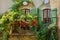 Old vintage windows with flowers and wooden green shutters in the old house of Provence French village.