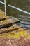 Old vintage wooden bridge aging and overgrown with moss decomposing in ramshackle style corroding and ailing as rotten footpath