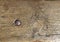 Old vintagewood wooden surface backgroundwith steel metal bolt screw