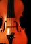 Old violin on the black background