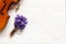 Old violin and little bunch of fresh violet hepatica on the white wooden background. Top view, close-up