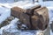 Old vise to clamp the tool in the cold under the snow