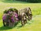 Old Wagon with Flowers