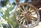 Old Wagon Wheel and Cactus, Anza-Borrego Desert State Park, California