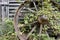 Old Wagon Wheel overgrown