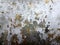 Old Wall damaged with blown Plaster and paint clog,peeling paint damage,water damage on building wall.Grunge abstract background.