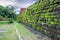 Old wall of Fort Rotterdam covered with green moss, Makassar - Indonesia