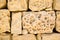 Old wall of porous sand stone bricks, close-up