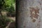 Old wall with rust close up. Grunge surface. Weathered wall with cracks. Stain sctructure. Aged dirty background.