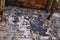 Old walls and ceiling. Rusty beams in the loft. Destroyed concrete and bricks.