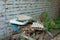 Old washbasin on an abandoned house, dump, against the background of a textured white brick wall. Pollution of the environment.