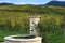 Old water fountain in a vineyard in Germany