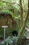 Old water mill in the middle of the forest covered by green vegetation and ferns. Vertical picture, no people. Profundu river,