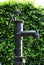 Old water pump with spiderweb and green bushes in the background - Garden