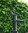 Old water pump with spiderweb and green bushes in the background - Garden