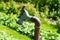 Old water valve pipe for water in garden hot