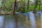 Old watermill in Homem River