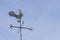 Old weathercock or windvane