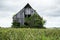 Old weathered and abandoned farm barn