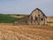 Old weathered barn surrounded by wheat fields