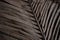 Old weathered coconut leaf roof of hut. Dried banana palm leaves background. Dried palm leaves texture. Close up organic gray palm