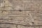 Old Weathered Cracked Knotted Pine Wood Floorboard Grunge Texture