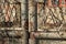 Old weathered gate covered with ivy on a blurred background