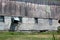 Old, weathered gray exterior wall of dairy barn seen out in the rural countryside