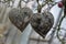 Old weathered gray wooden hearts covered with lichen decorate an autumn tree in the garden of a nursery as a symbol of love