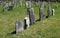Old weathered headstones, Revolutionary War Cemetery, Salem, New York