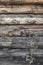 Old weathered log wall. Craked shabby logs. Dark grey wooden background