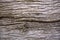 Old weathered oakwood background pattern