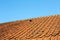 Old weathered tile roof